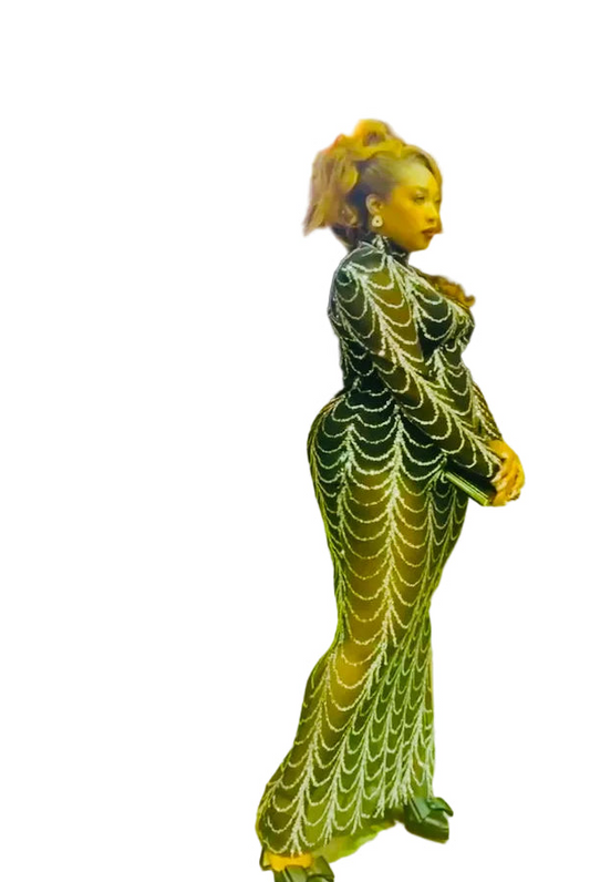 I’m HER dress